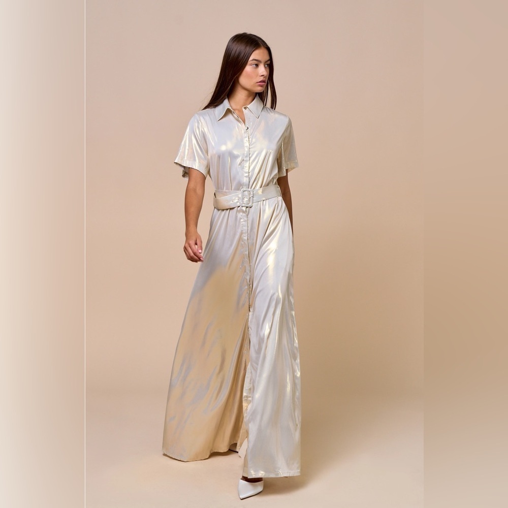 Lalavon Collared Button-Down Maxi Dress with Belt Silver